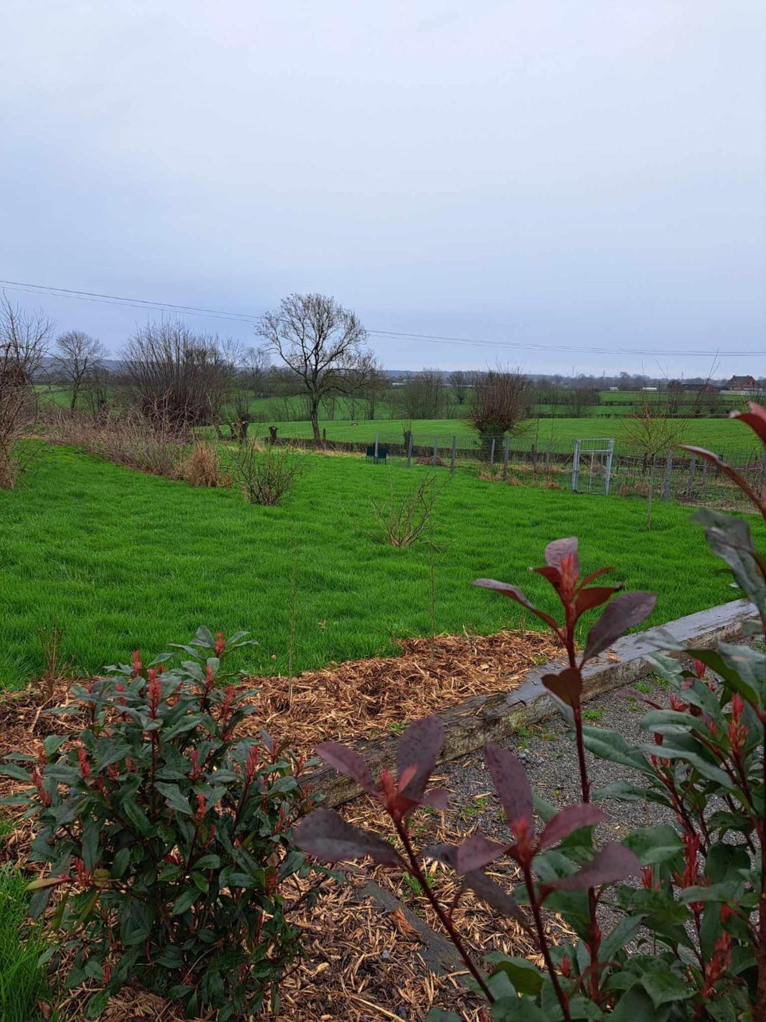 Au Charme D'Antan Bed & Breakfast Féron Eksteriør bilde